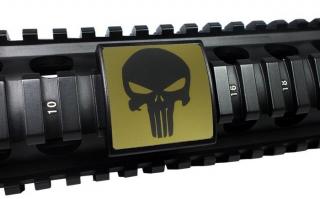 Punisher Rail Cover by Custom Gun Rails